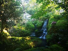 -Chom Cafe and Restaurant