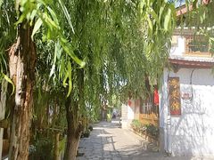 -木王宴语·野生鲜菌火锅(玉河店)