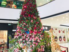 -万达茂商场(南京仙林店)
