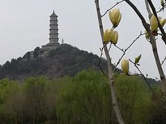 -北坞公园