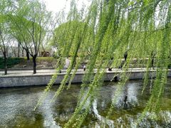 -元大都城垣遗址公园