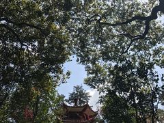 -重庆文理学院(星湖校区)