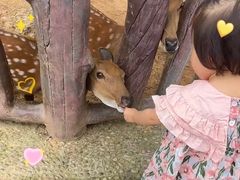 -石家庄市动物园