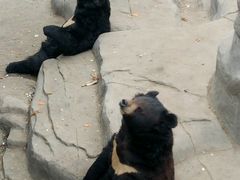 -石家庄市动物园