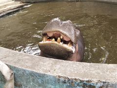 -昆明动物园