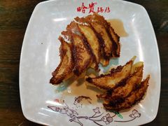 -哈贵锅贴(复兴南街店)