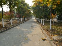 android_upload_pic-江南大学(蠡湖校区)