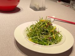 -拾宴(汇智国际商业中心店)