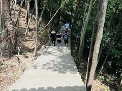 -鄣山大峡谷