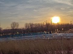 -东郊湿地公园