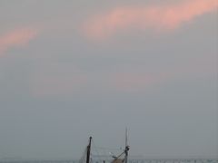 -小麦岛公园