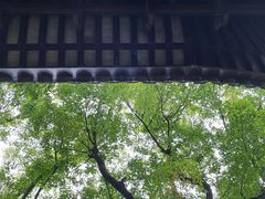 -西园戒幢律寺