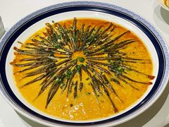 -西郊5号·Maggie 5