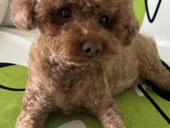 -家舍沐浴生活馆