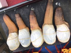 -江杨农产品批发市场