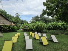 -大象粑粑造纸公园