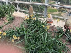 -南山植物园