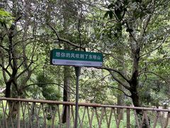 -东明山森林公园
