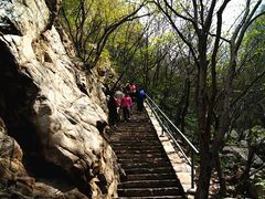 -嵩山少林文化旅游景区