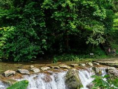 -广州市石门国家森林公园