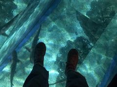 -暹罗海洋世界