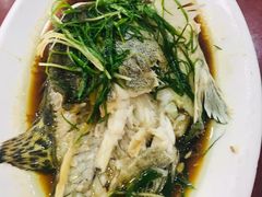 蒸石斑鱼-万家海鲜饭店