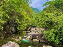 -大鄣山卧龙谷景区