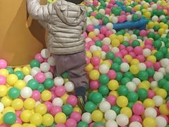 -海合安成都极地海洋公园