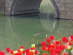 -圩墩遗址公园