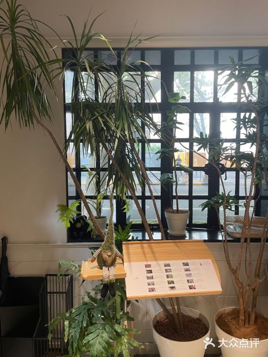 一尺花园(安和花园店)图片