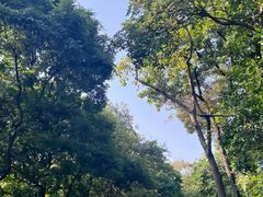 -广州市白云山风景名胜区
