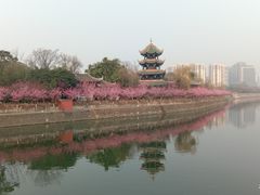 -望江楼公园