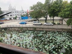 -烟桥私房菜馆(奋哥)