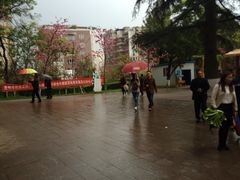 -昆明动物园
