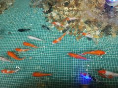 -水晶之星洗浴温泉汗蒸