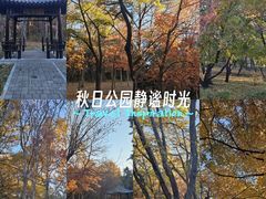 -长春市南湖公园