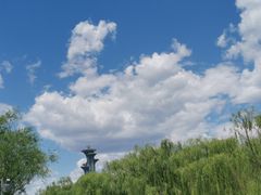 -东方饺子王(新奥购物中心店)