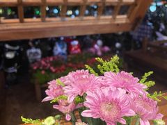 -木王宴语·野生鲜菌火锅(玉河店)