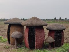 -漩门湾国家湿地公园