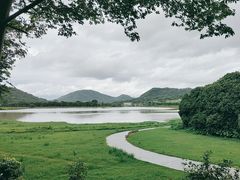 -风云岭森林公园