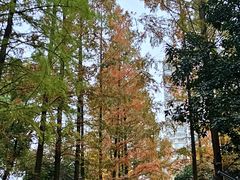 -苏州河梦清园环保主题公园