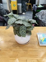 点击看大图 -藤野造型烫染·漂发
