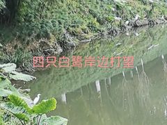 -盘溪河公园