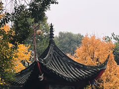 -成都市文殊院