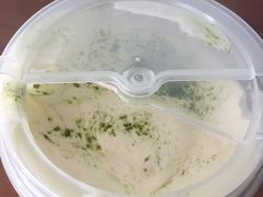 -喜茶(佛山顺德大良东乐路店)