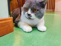 -藦茜花园宠物主题亲子互动体验馆(国顺东路店)