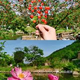 信阳商城县，旅行好地方～