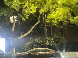 -恒沙廊
