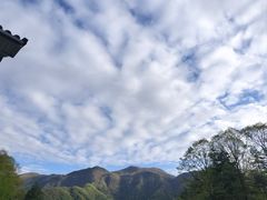 -大九湖
