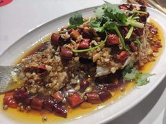 -杨氏青龙虾·羊蝎子(托乐嘉店)